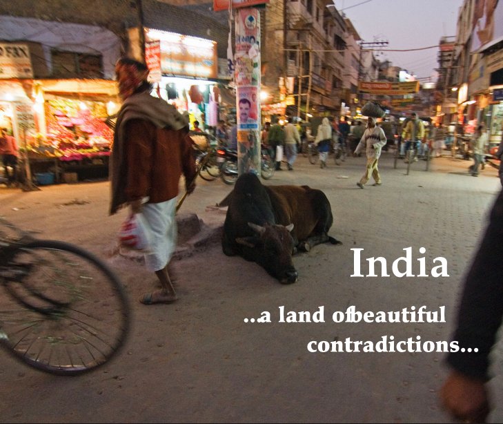 View India ...a land of beautiful contradictions... by Sean Dunn