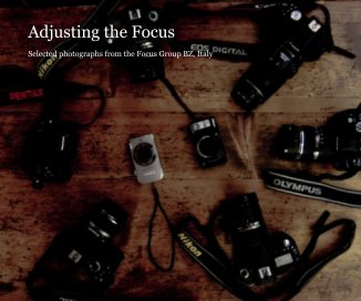 Adjusting the Focus book cover