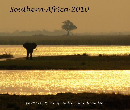 Southern Africa 2010 book cover