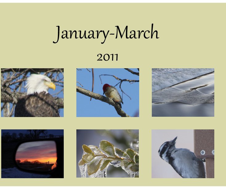 Visualizza January to March 2011 di Jen Keller