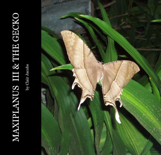 View MAXIPLANUS III & THE GECKO by Clair Jacobs by Clair Jacobs