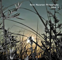 Rose Nazarian Photography Book 3 book cover