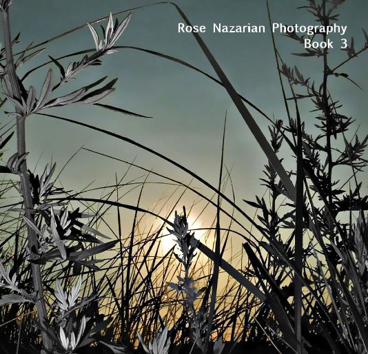 Ver Rose Nazarian Photography Book 3 por Rose Nazarian
