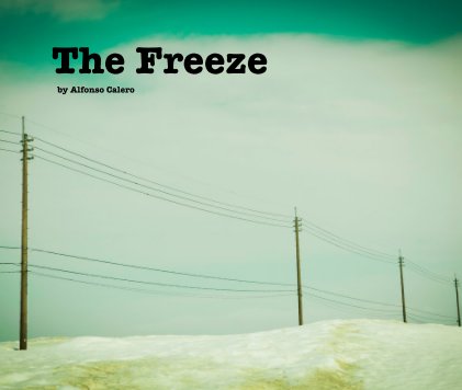 The Freeze book cover