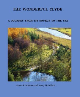 THE WONDERFUL CLYDE book cover