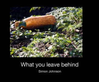 What you leave behind book cover