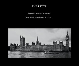 THE PRIDE book cover
