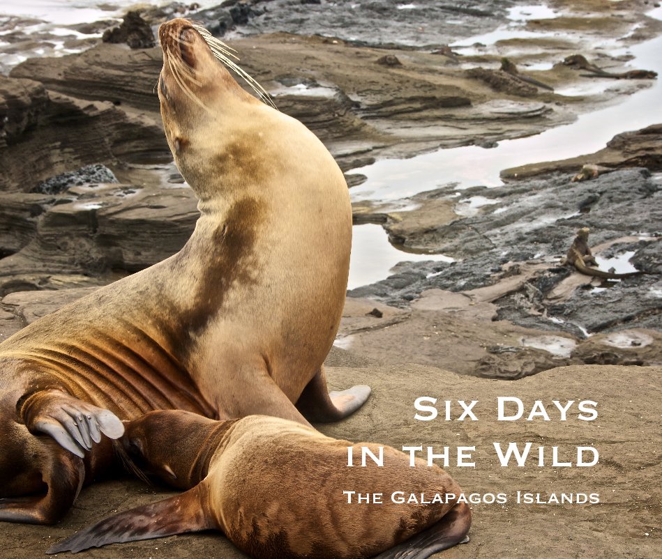 View Six Days in the Wild by Amy Long