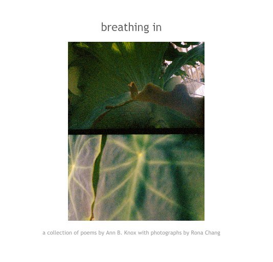 View breathing in a collection of poems by Ann B. Knox with photographs by Rona Chang by Ann B. Knox and Rona Chang