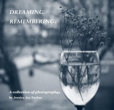 Dreaming. Remembering. book cover