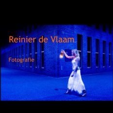 Reinier de Vlaam book cover