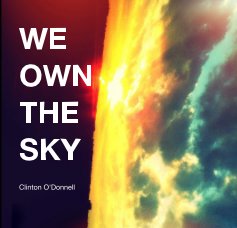 WE OWN THE SKY book cover