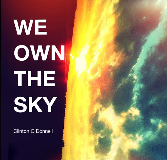 View WE OWN THE SKY by Whitfield