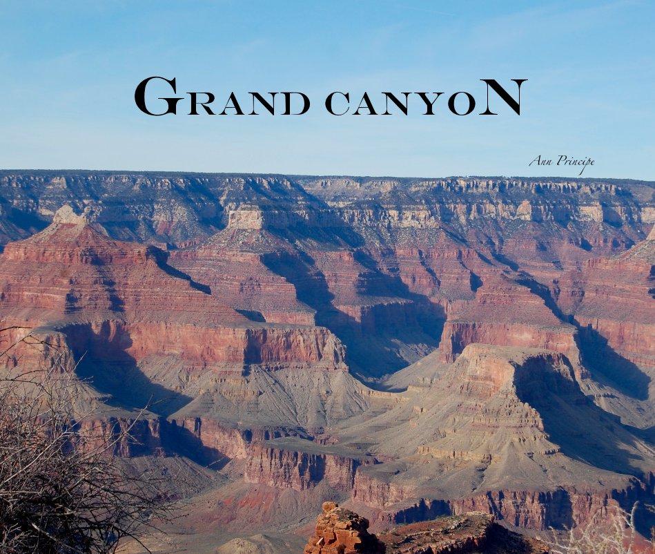 View Grand Canyon by Ann Principe