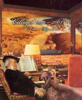 Collages 1998 - 2008 book cover