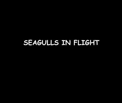 SEAGULLS IN FLIGHT book cover