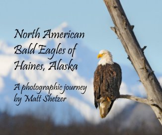 North American Bald Eagles of Haines, Alaska book cover