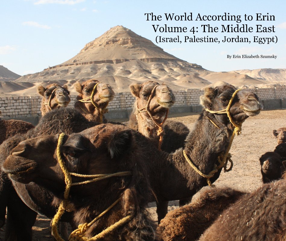 View The World According to Erin Volume 4: The Middle East (Israel, Palestine, Jordan, Egypt) by Erin Elizabeth Szumsky