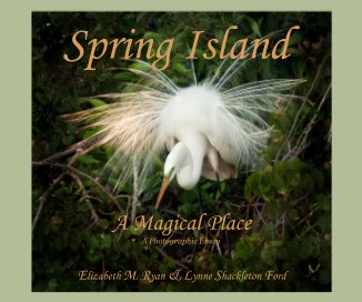 Spring Island, A Magical Place book cover