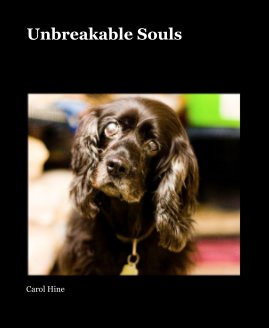 Unbreakable Souls book cover