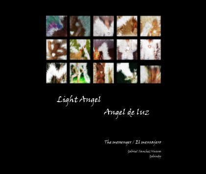 Light Angel / Angel de luz book cover