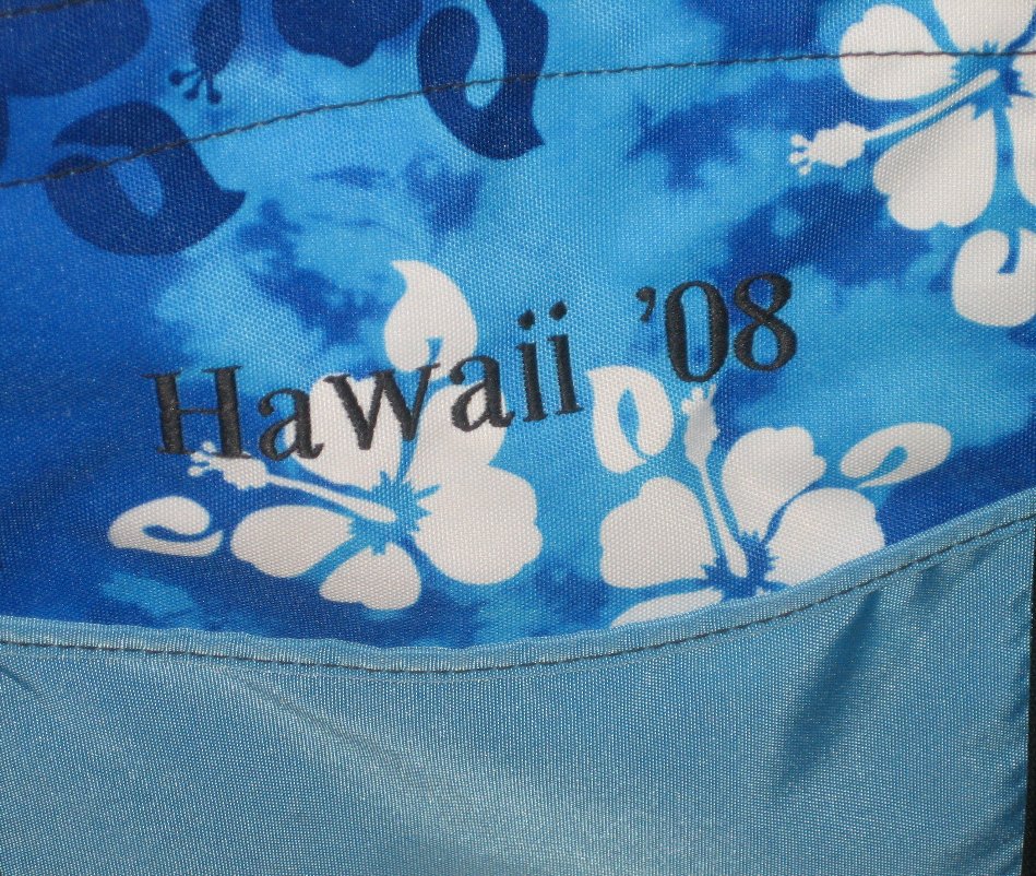 Visualizza Hawaii '08 di Edye