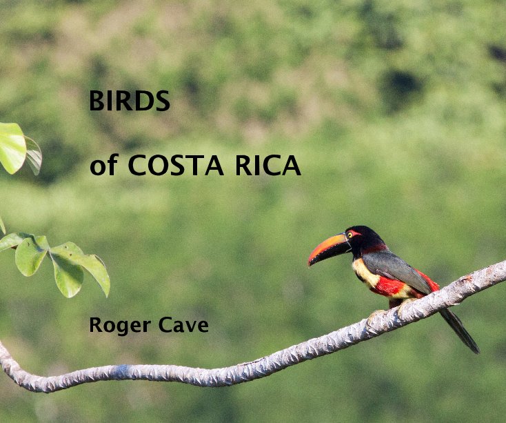 View BIRDS of COSTA RICA by Roger Cave