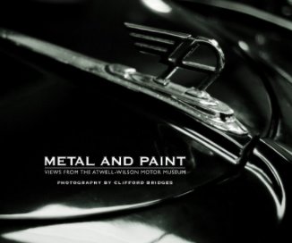 Metal and Paint book cover