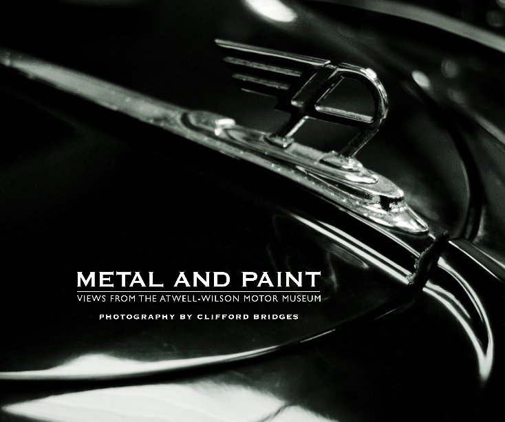 View Metal and Paint by Clifford Bridges
