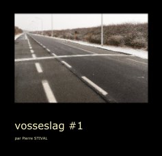 vosseslag #1 book cover