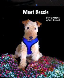 Meet Bessie book cover