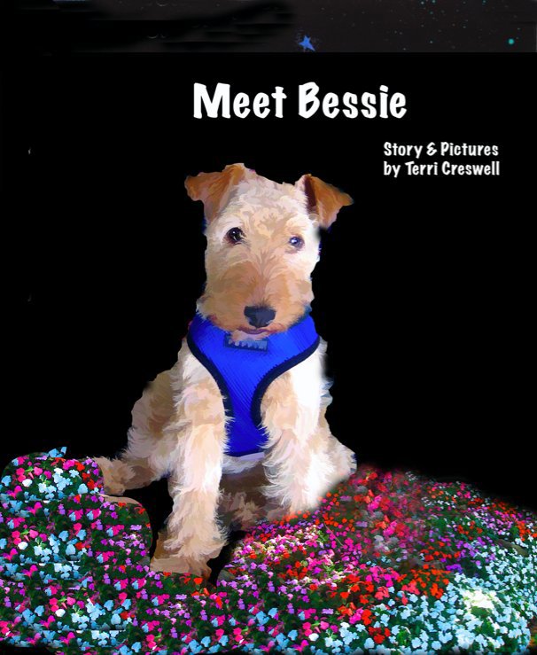 View Meet Bessie by Terri Creswell