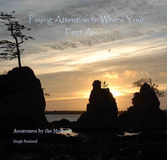 View Paying Attention to Where Your Feet Are by Hugh Penland