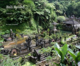 Bali Bound book cover