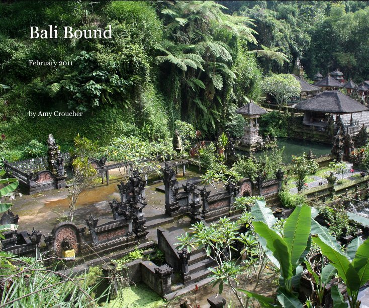 View Bali Bound by Amy Croucher
