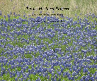 Texas History Project book cover