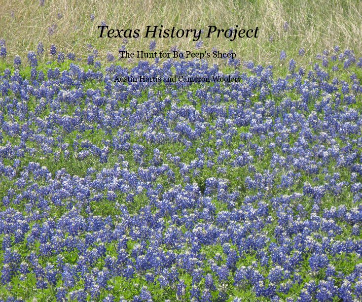 View Texas History Project by Austin Hartis and Cameron Woolery
