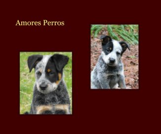 Amores Perros book cover