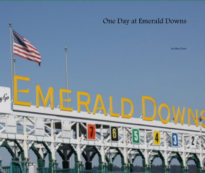 One Day at Emerald Downs book cover