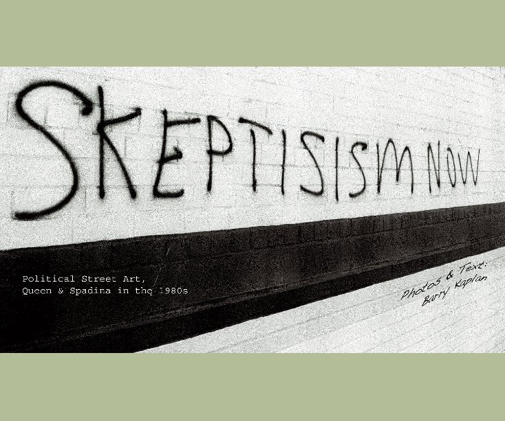 View Skepticism Now by Barry Kaplan