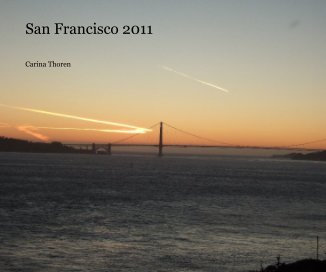 San Francisco 2011 book cover