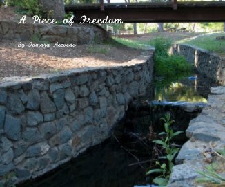 A Piece of Freedom book cover