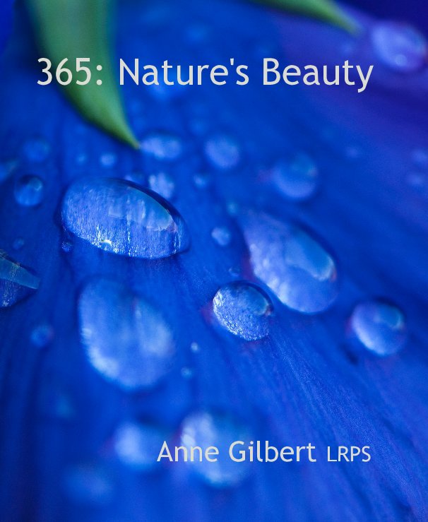 Ver 365: Nature's Beauty por Anne Gilbert