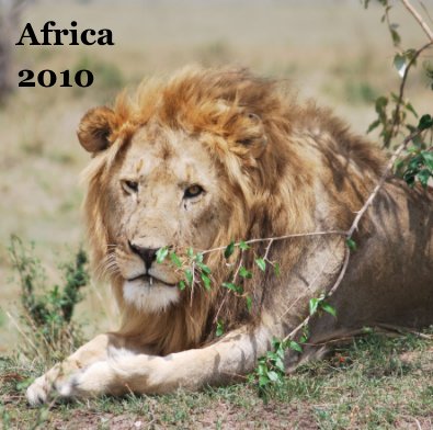 Africa 2010 book cover