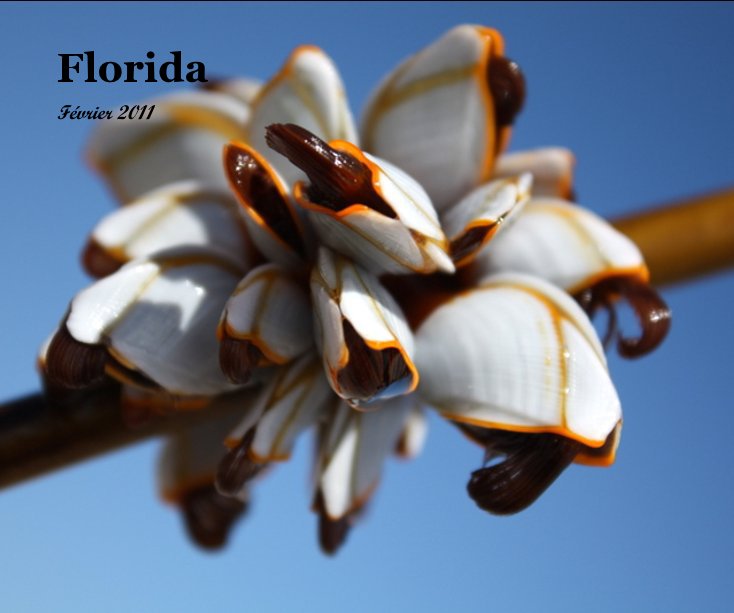 Ver Florida por Sophie Vinet