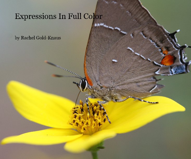 Visualizza Expressions In Full Color - By Rachel Gold-Knaus di Rachel Gold-Knaus