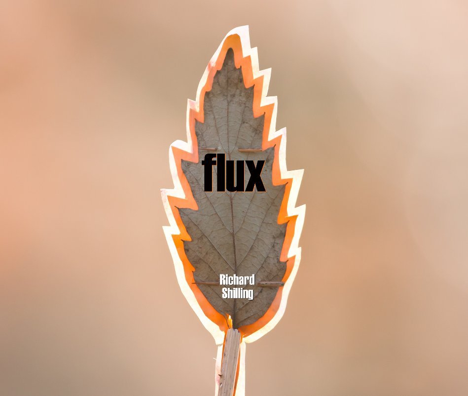 Flux (Special Edition) nach Richard Shilling anzeigen