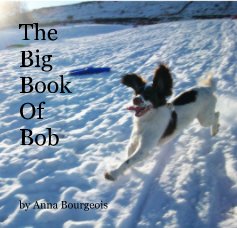 The Big Book Of Bob book cover