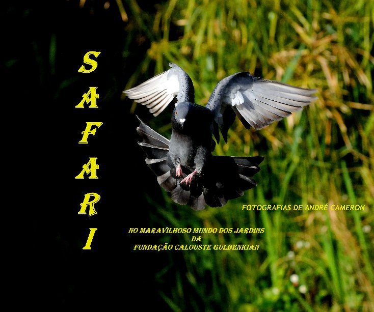 Ver Safari por ANDRÉ CAMERON