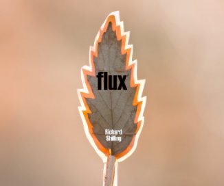 Flux book cover